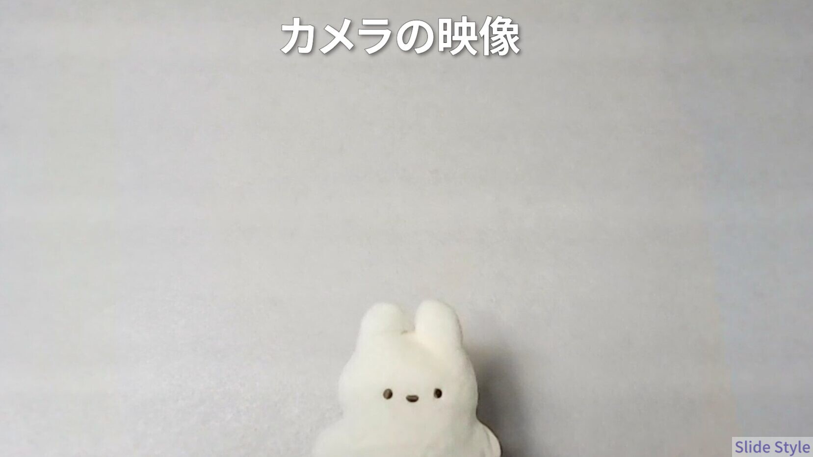 カメラ映像_ウサギ